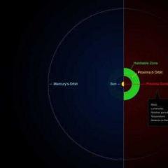Астрономы нашли самую близкую землеподобную планету Проксима b как далеко от земли